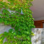 Apartment Garden - Bbq, Ampio Giardino E A/c